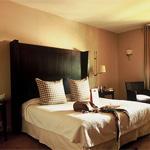 Cazaudehore la Forestiere ST GERMAIN EN LAYE