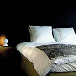 Miauw Suites, Amsterdam