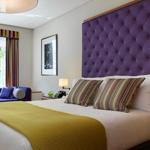 The Fitzwilliam Hotel, Dublin