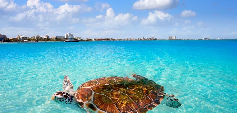 Boutique hotels Caribbean
