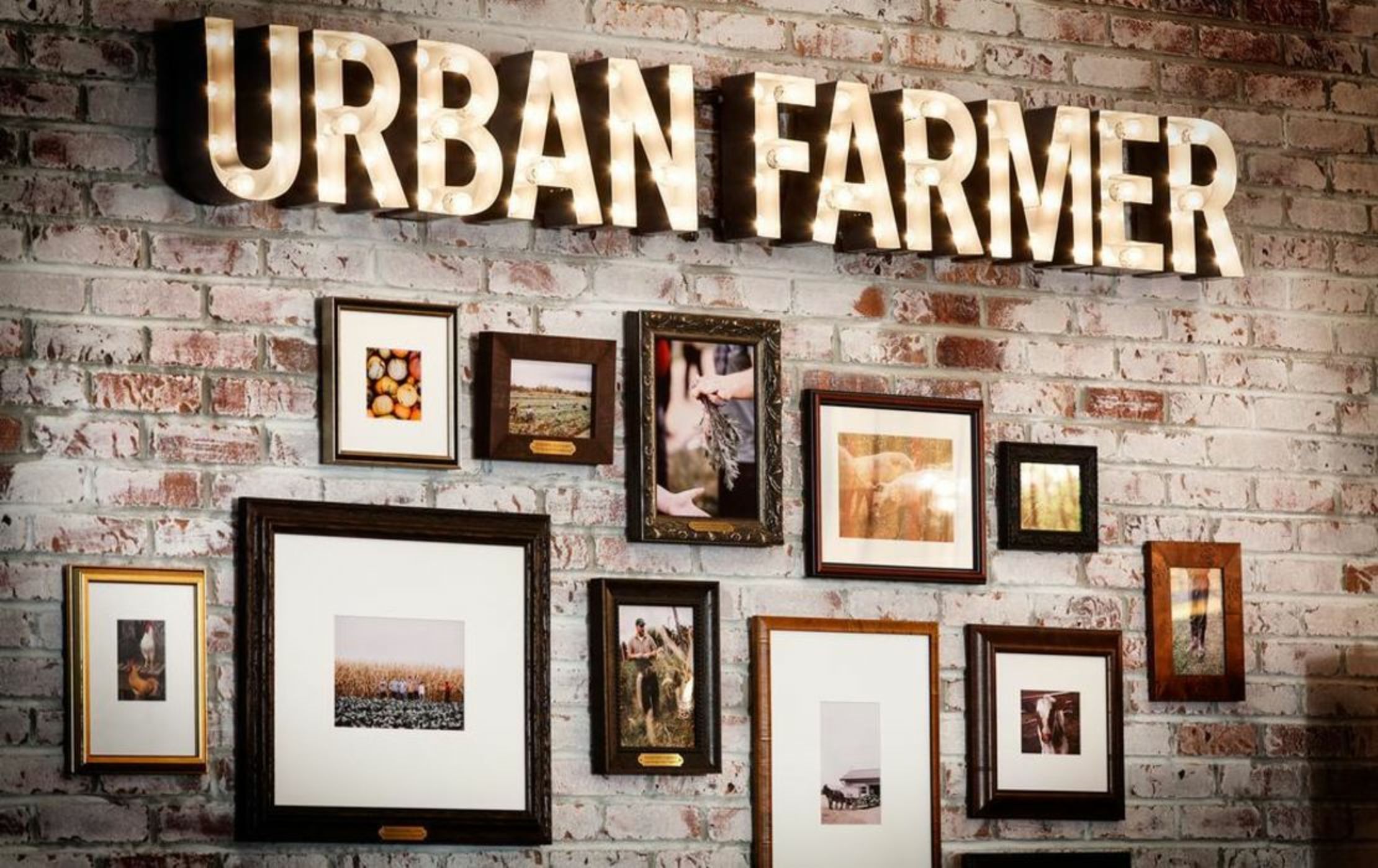 The Logan Philadelphia, Curio Collection by Hilton