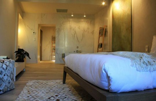 Les Suites Massena
