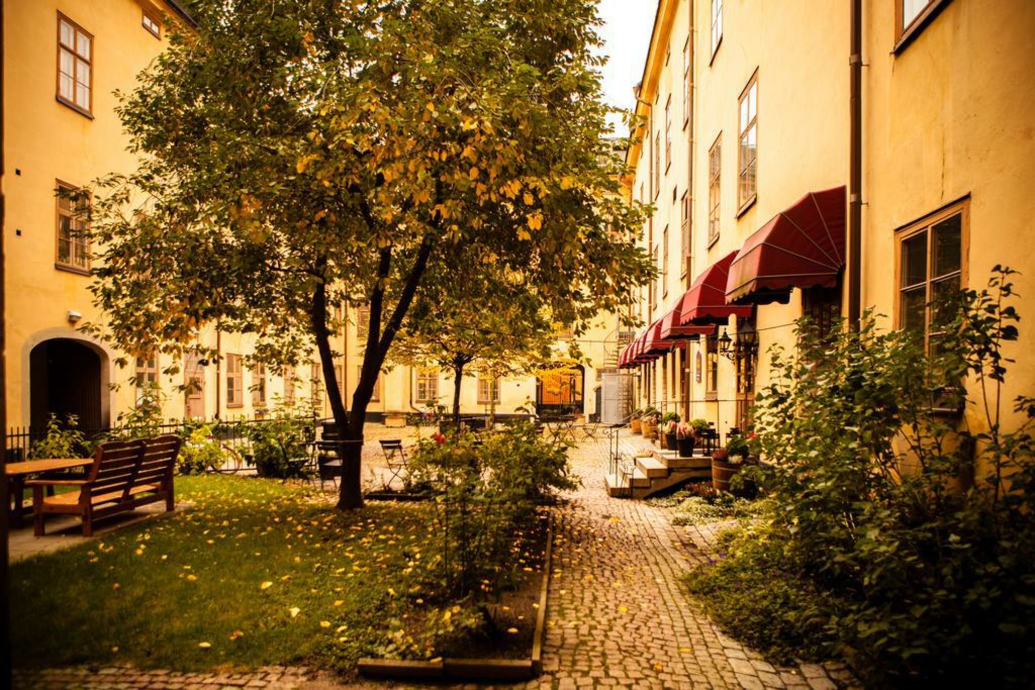 NOFO Hotel; BW Premier Collection