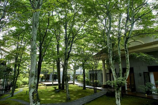 Kyukaruizawa Kikyo, Curio Collection by Hilton