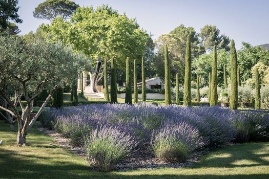 Domaine de Fontenille