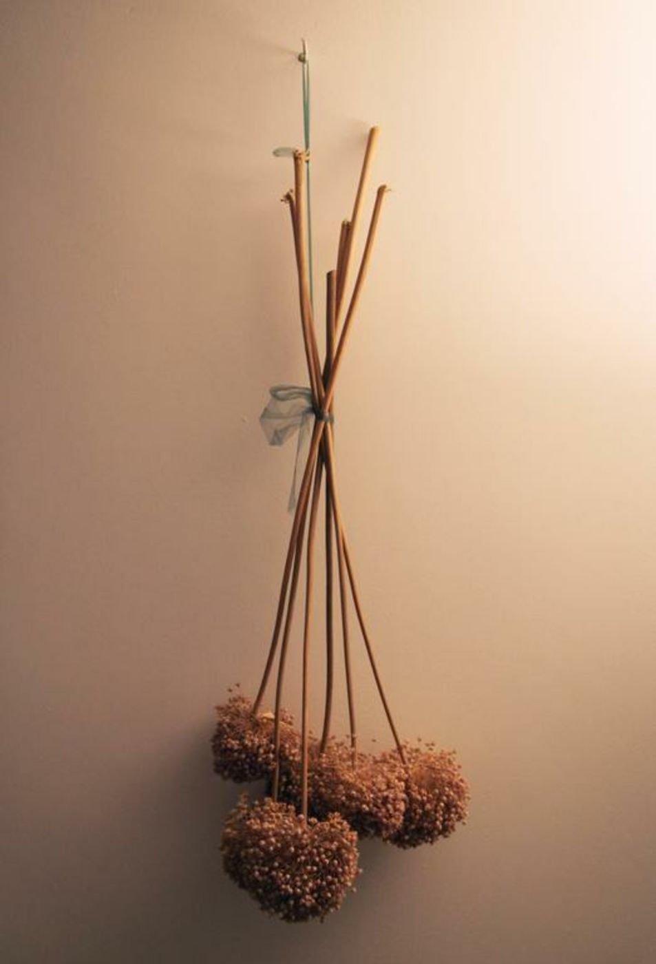 Berdoulat & Breakfast