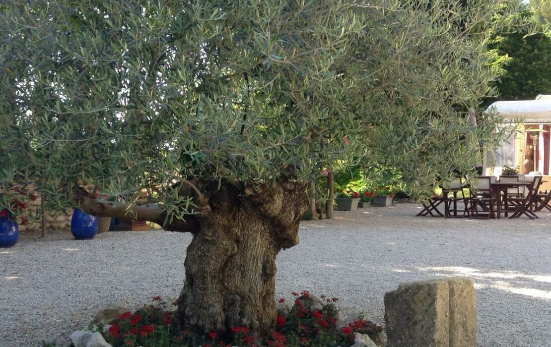 Domaine Gaogaia