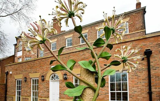 Houndgate Townhouse