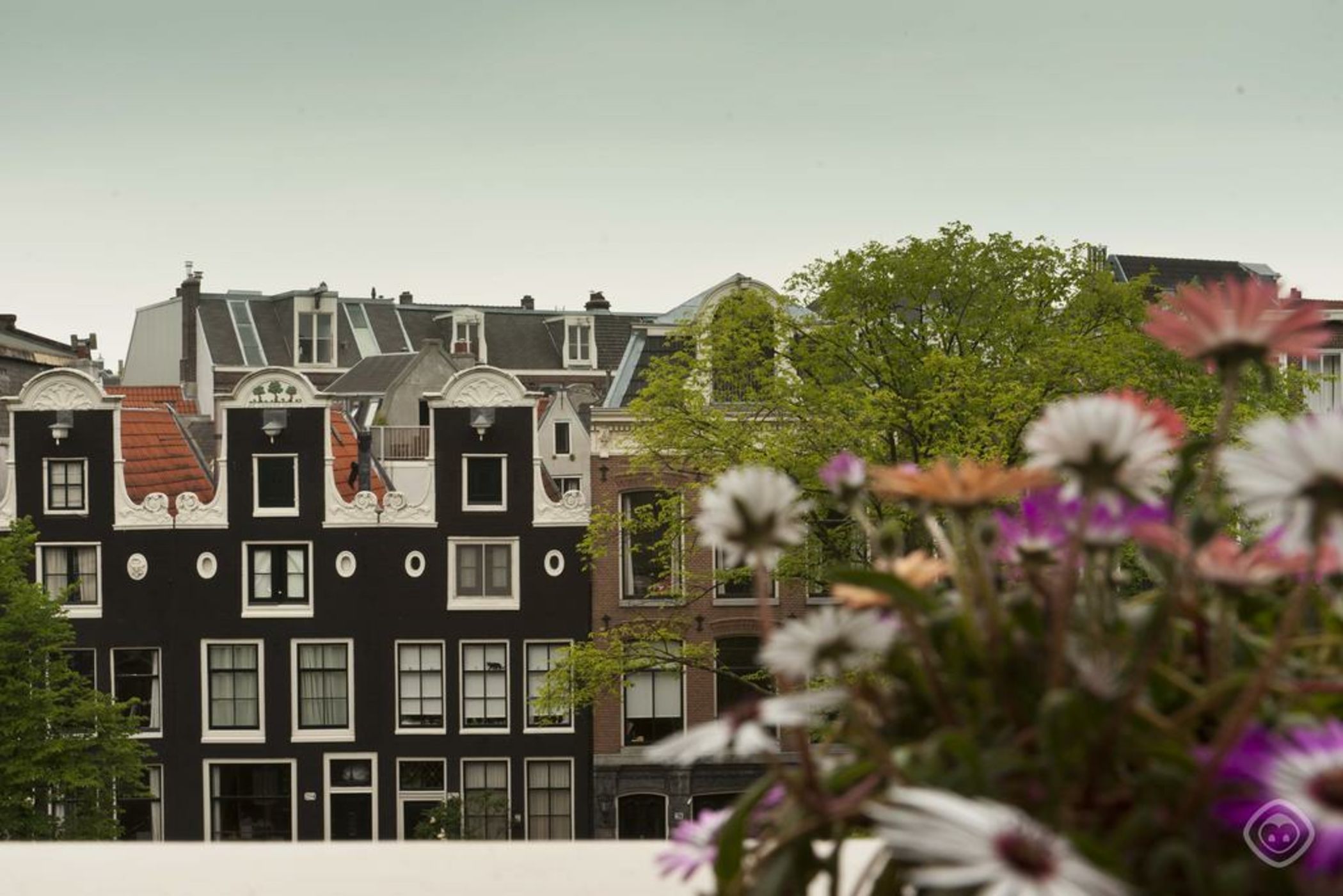 Museum City Centre Apartment