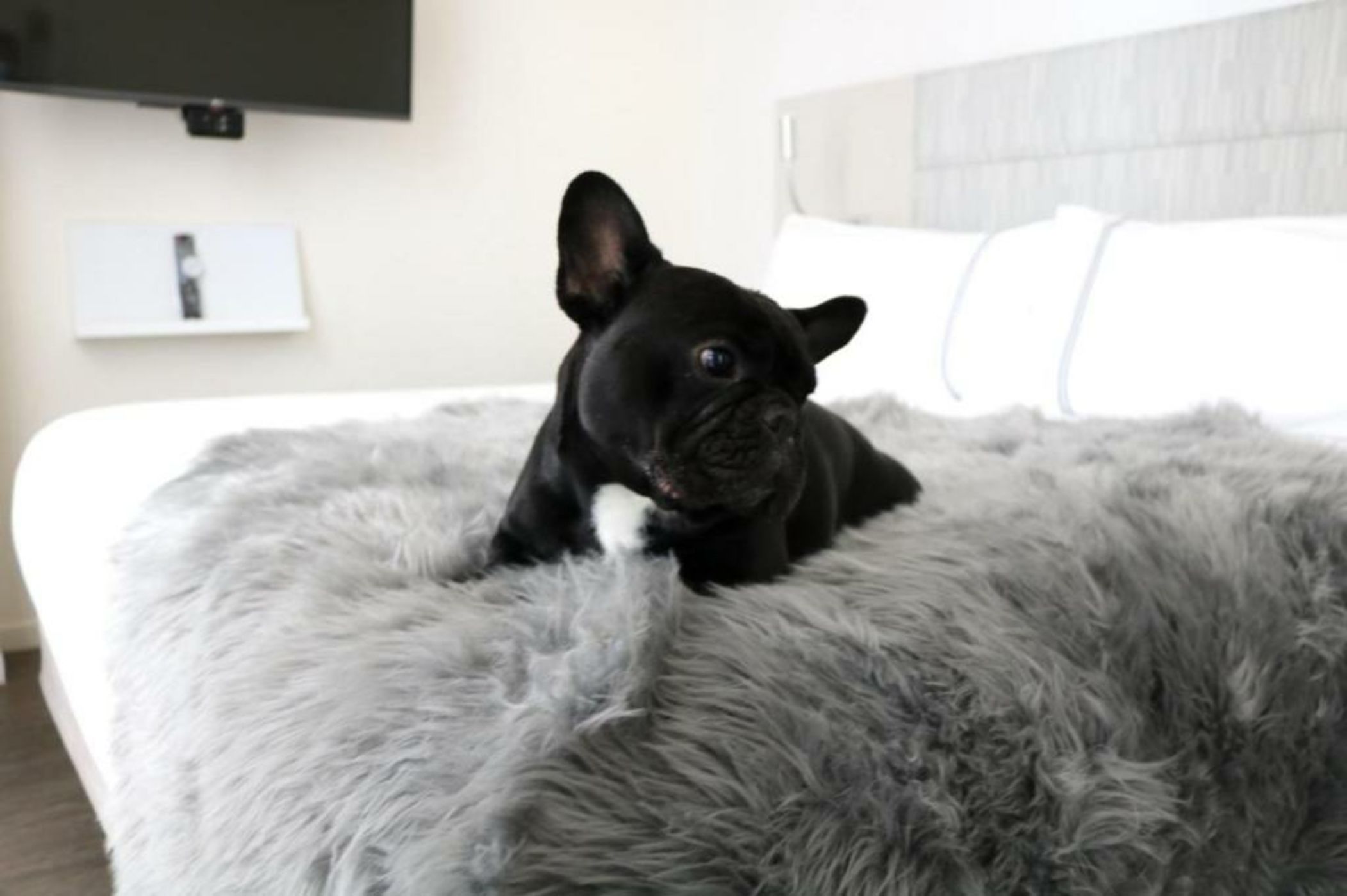 INNSIDE by Melià New York Nomad