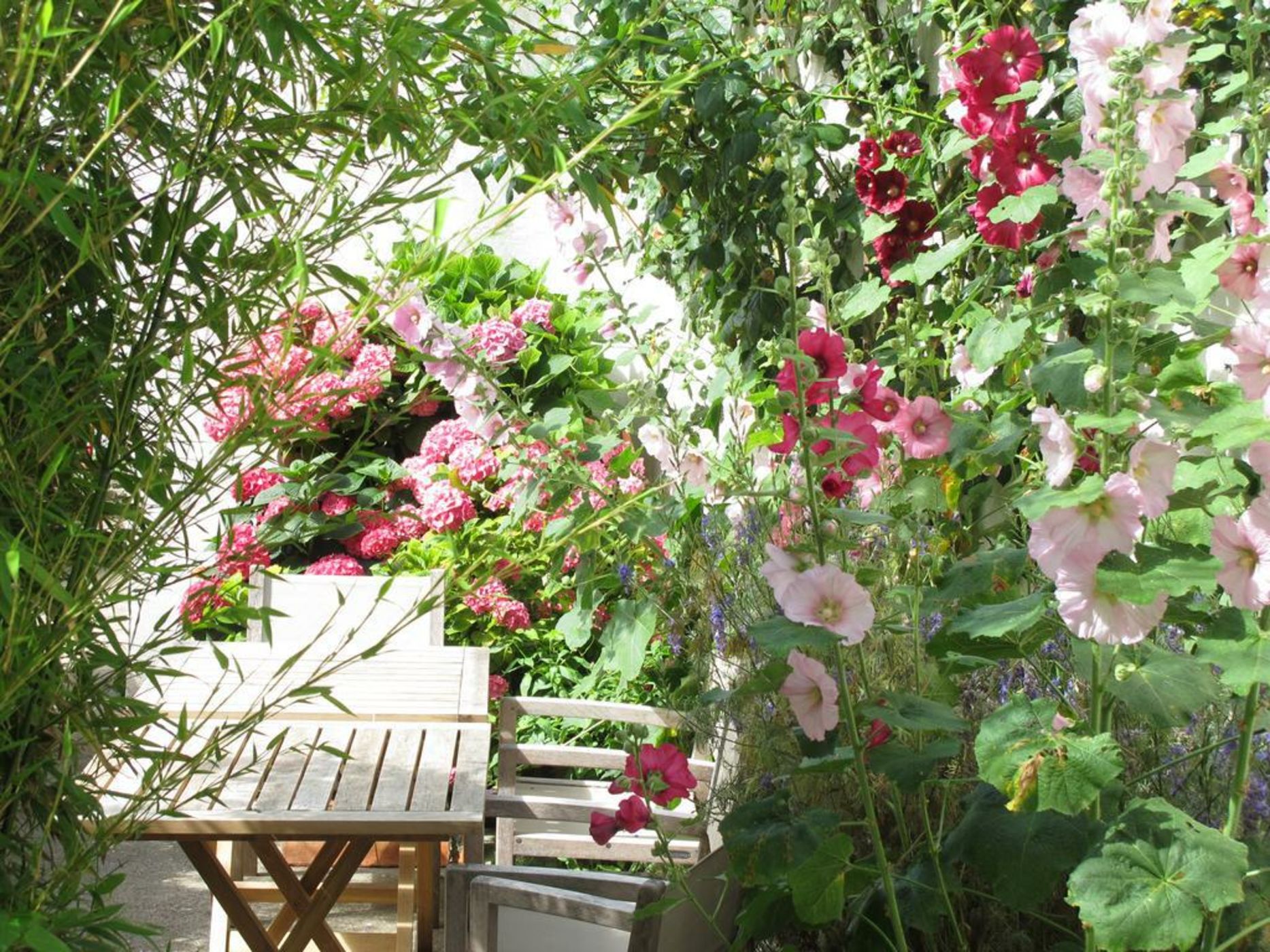 Hôtel Le Sénéchal