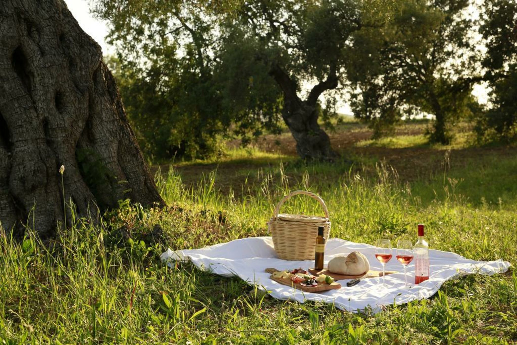 Fazenda Nova Country House