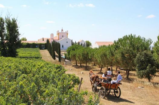 Torre de Palma Wine Hotel - Design Hotels