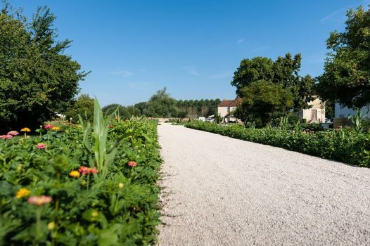 Domaine de Saulon