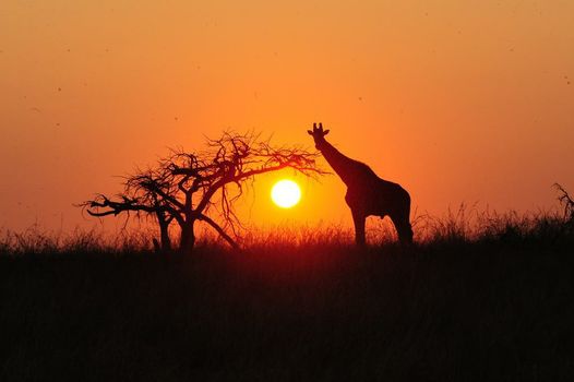 Esiweni Luxury Safari Lodge