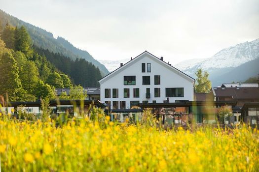 Wiesergut