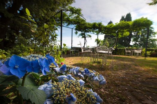 Villa Scacciapensieri Boutique Hotel