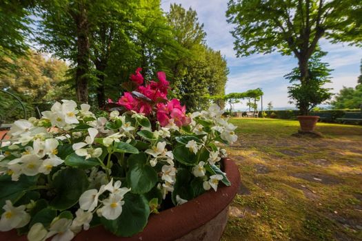 Villa Scacciapensieri Boutique Hotel