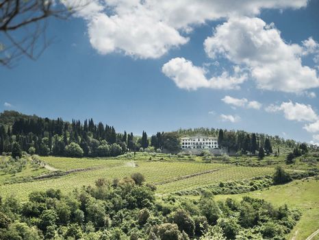Villa Vistarenni
