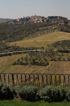 Villa Vistarenni
