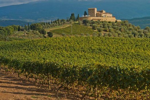 Castello di Velona - The Leading Hotels of the World