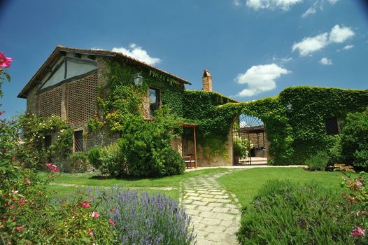 L'Olmo