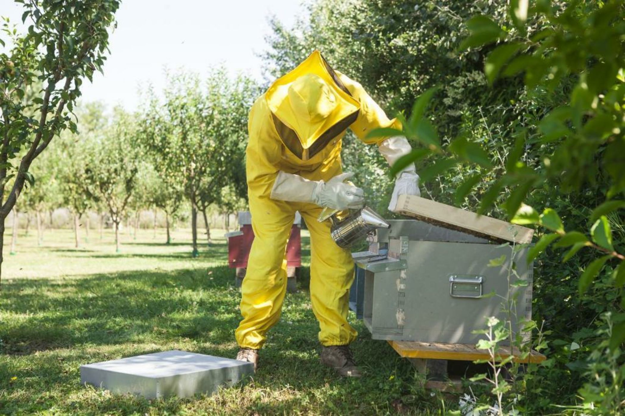 Relais Borgo Santo Pietro