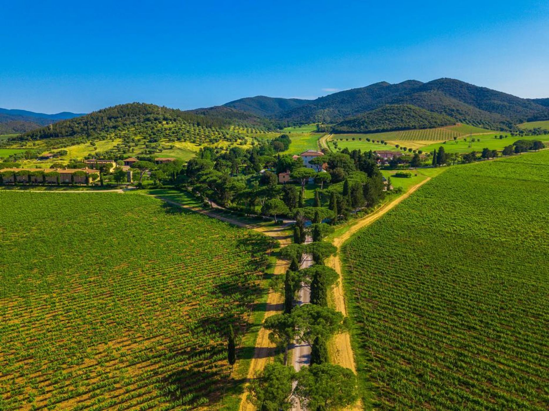 L'Andana Tenuta La Badiola