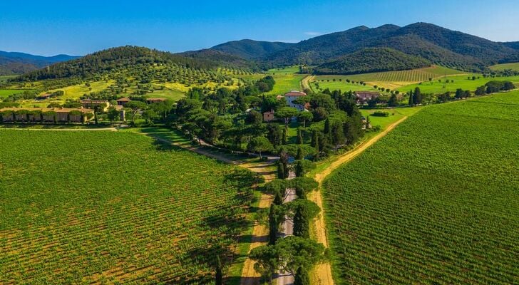 L'Andana Tenuta La Badiola