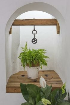 Casa Shelly Hospedería