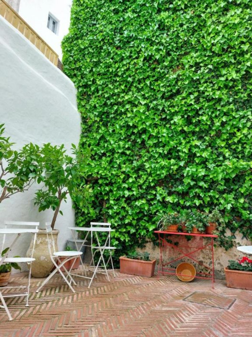 Casa Shelly Hospedería