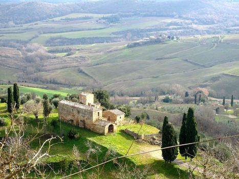 In Cerca d'Autore