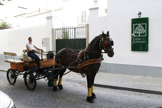 Casa Do Platano