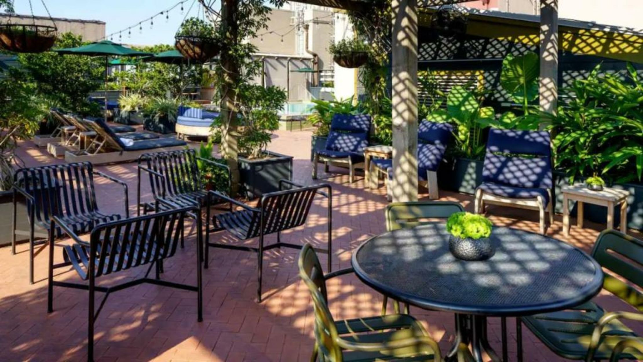 The Barnett JDV by Hyatt