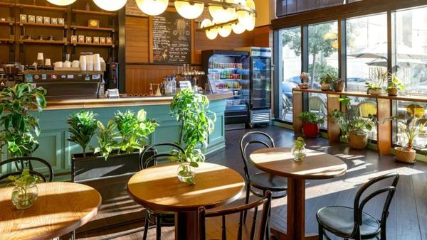 The Barnett JDV by Hyatt