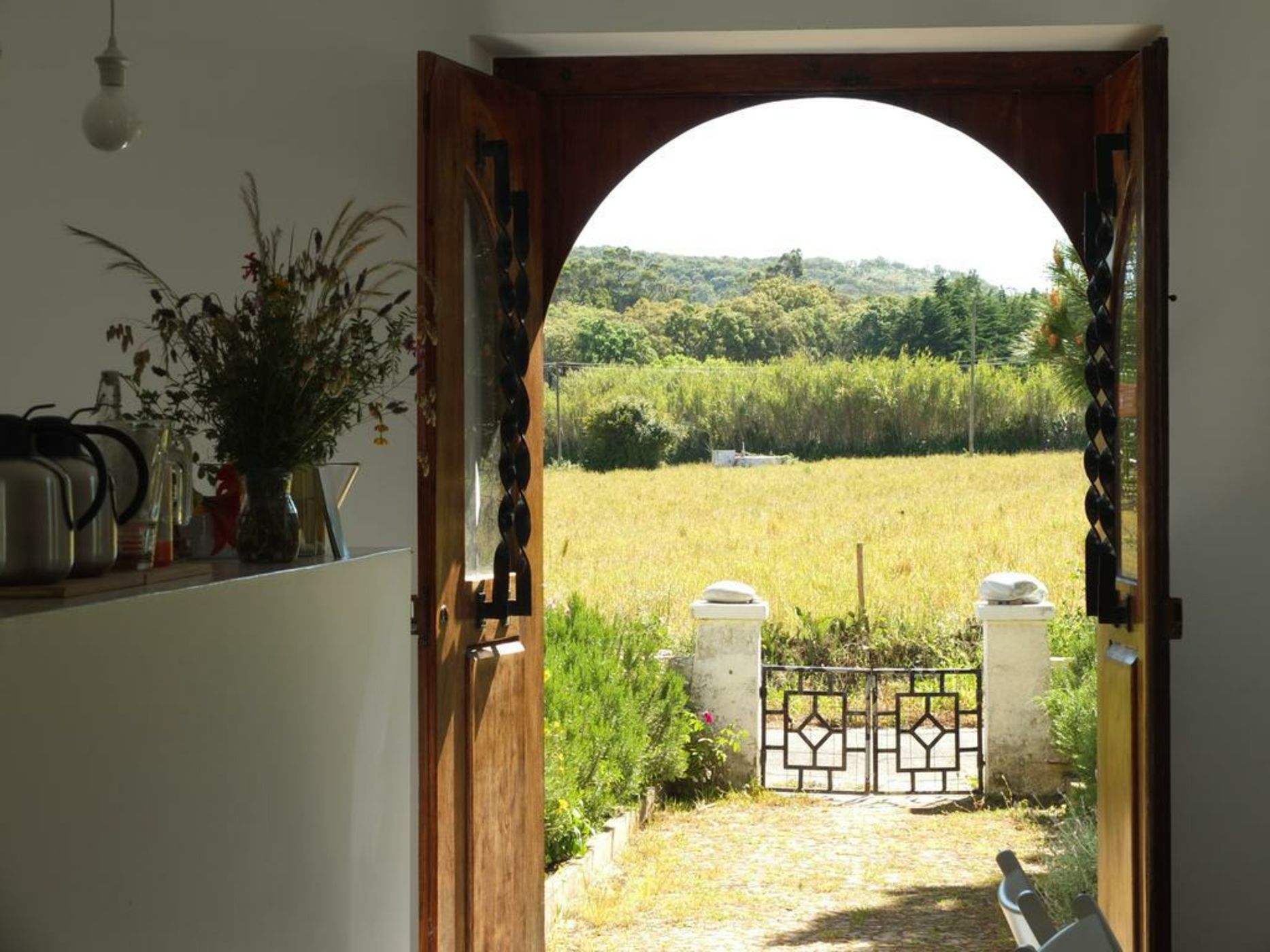 Cabeca Da Cabra Casa De Campo