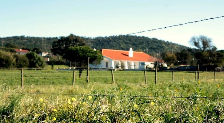 Cabeca Da Cabra Casa De Campo