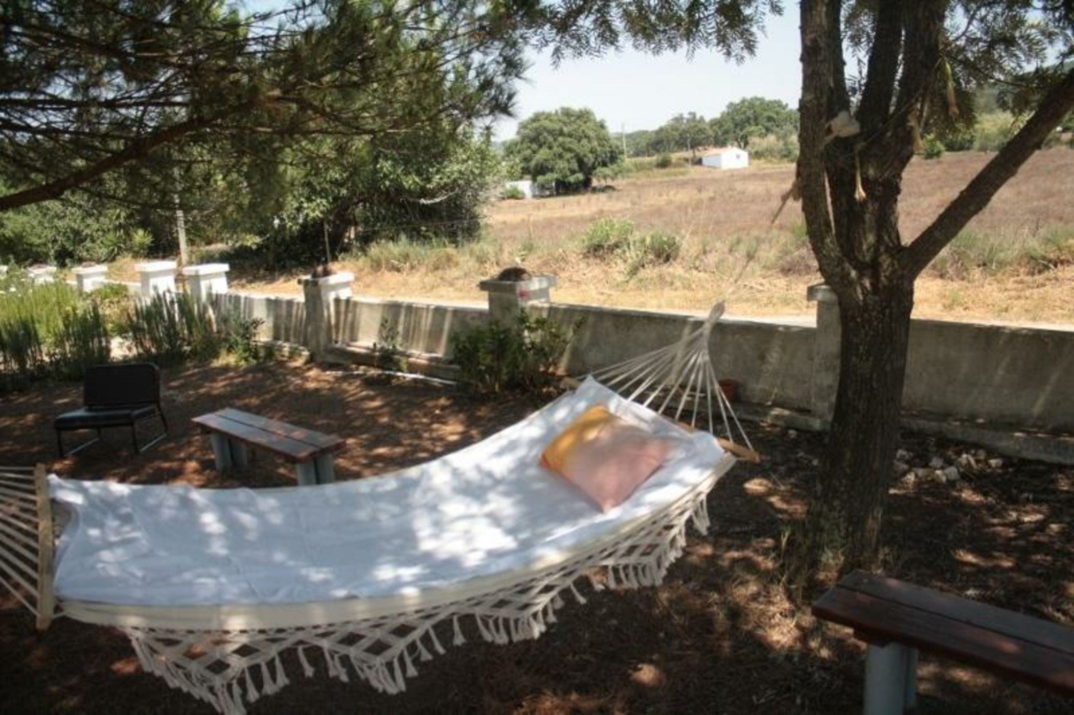 Cabeca Da Cabra Casa De Campo