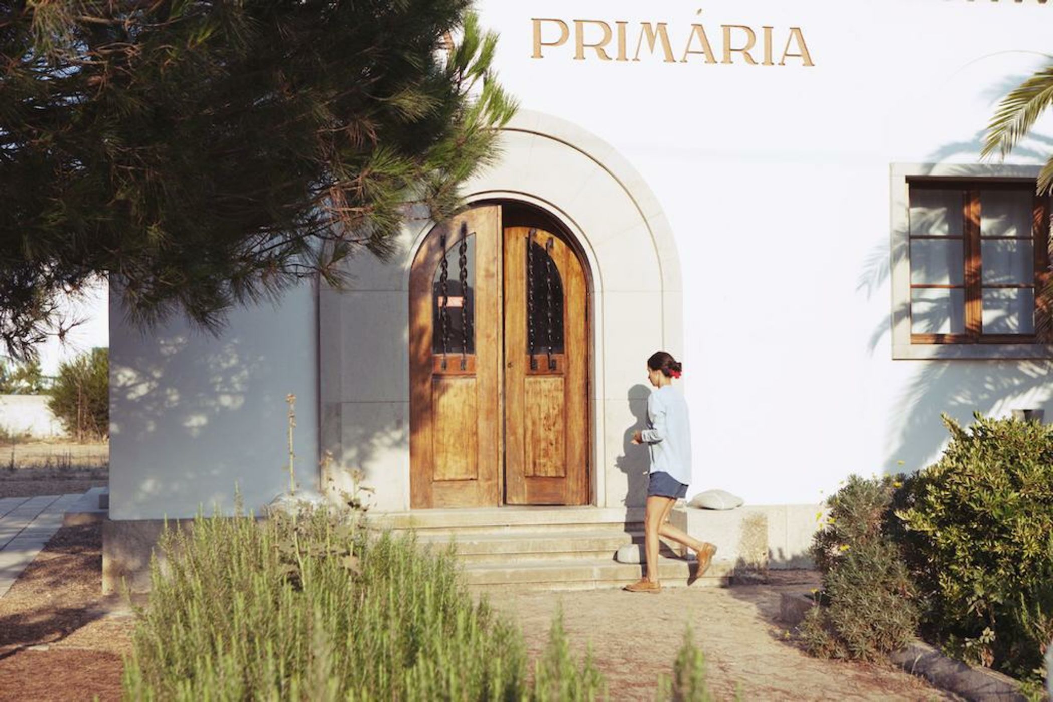 Cabeca Da Cabra Casa De Campo