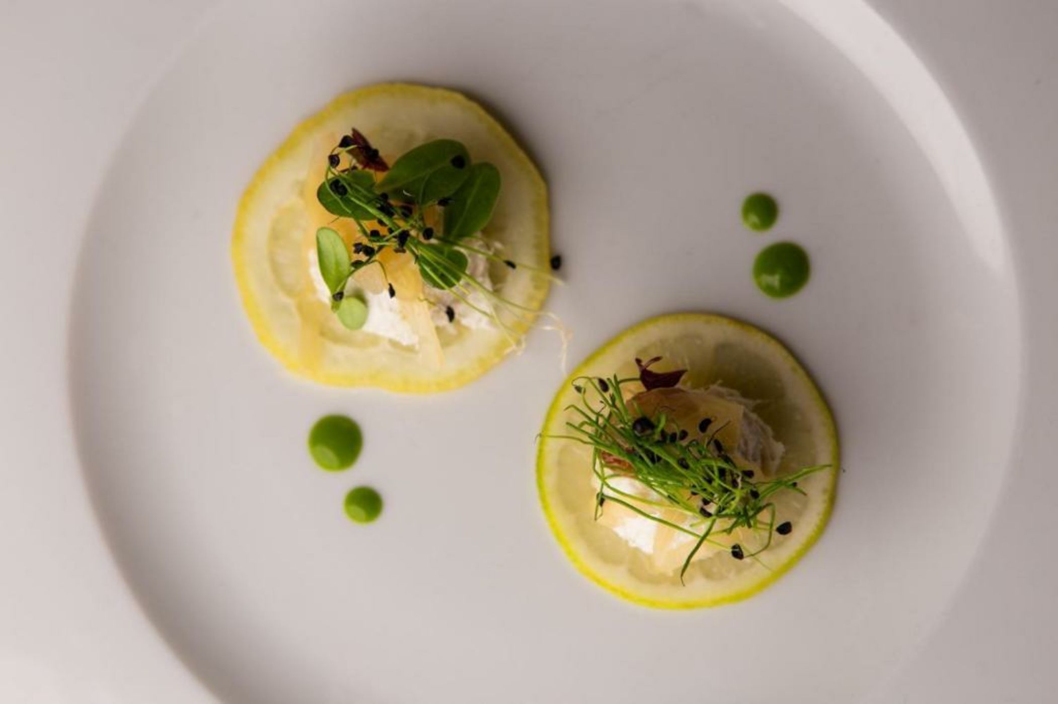 Hotel Villa Barbarich Venice Mestre