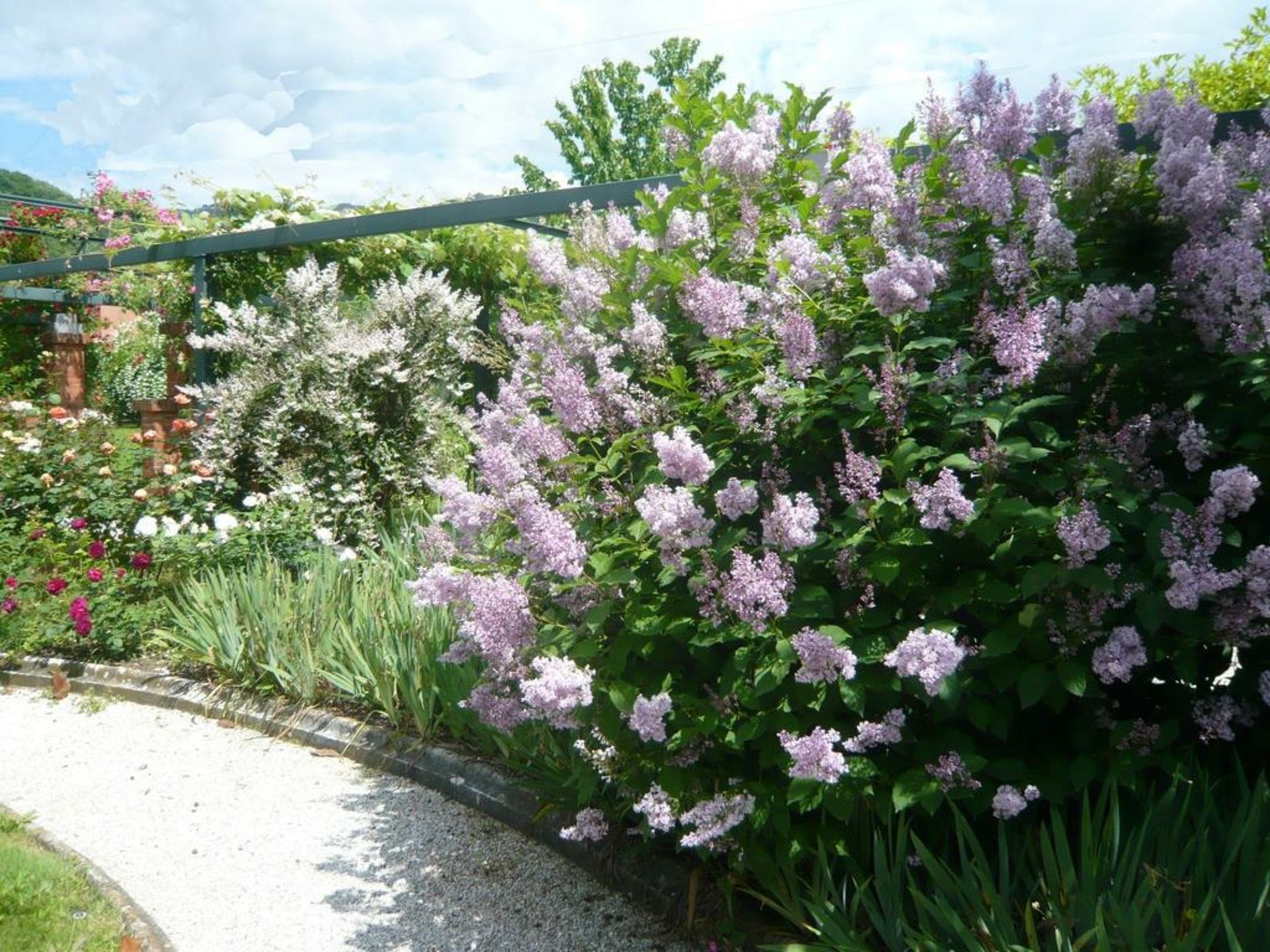 Villa Belverde Boutique Hotel