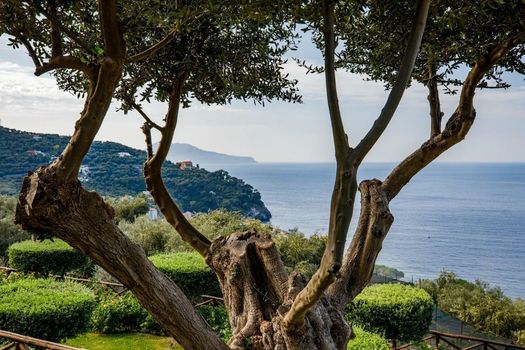 Villa Fiorella Art Hotel