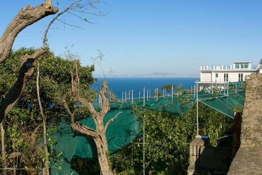 Villa Fiorella Art Hotel