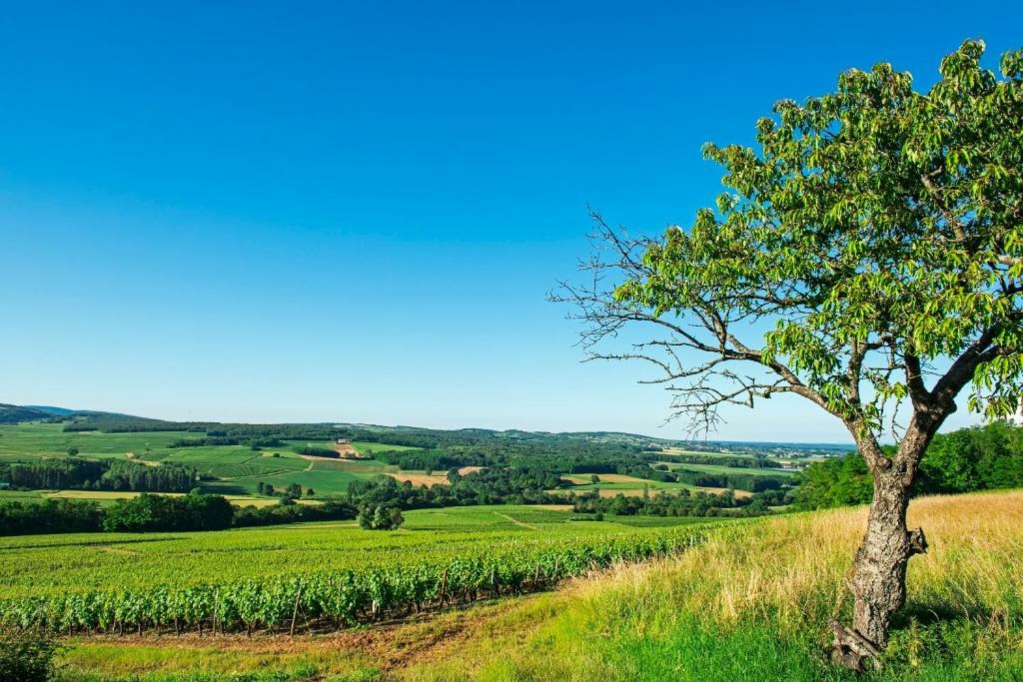 Frédéric Carrion Hôtel et Spa