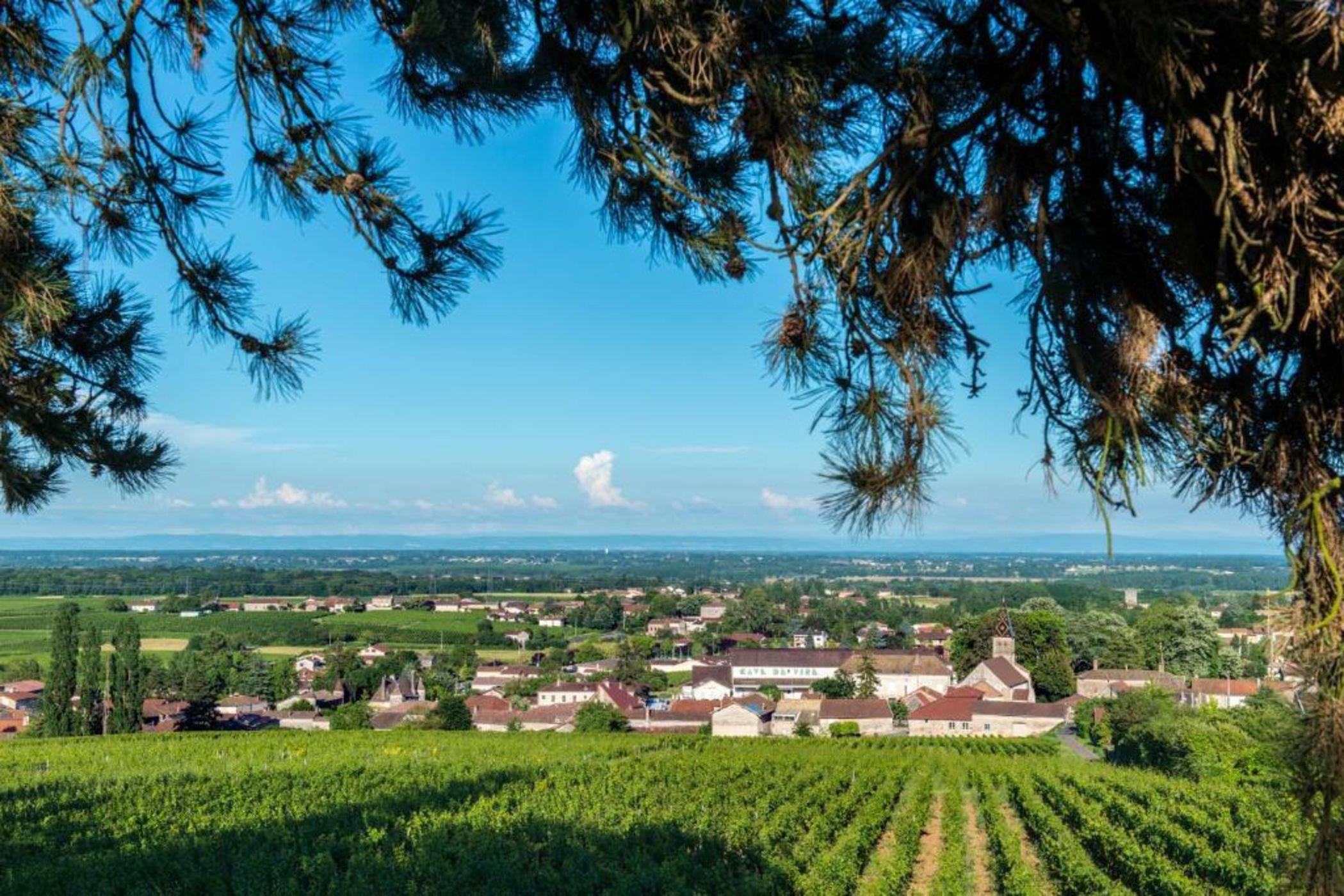 Frédéric Carrion Hôtel et Spa