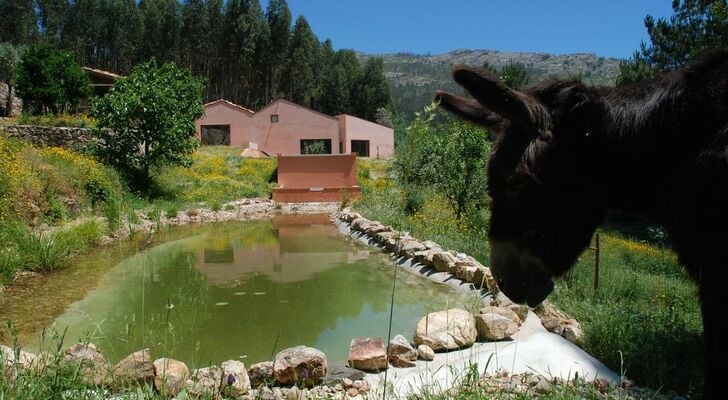 Vale do Ninho Nature Houses