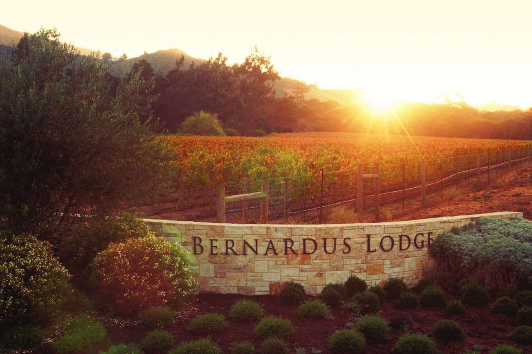 Bernardus Lodge & Spa