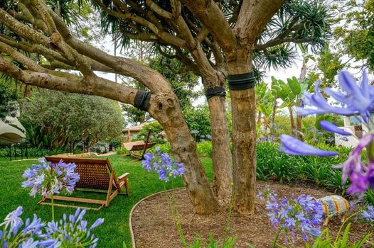 El Encanto, A Belmond Hotel, Santa Barbara