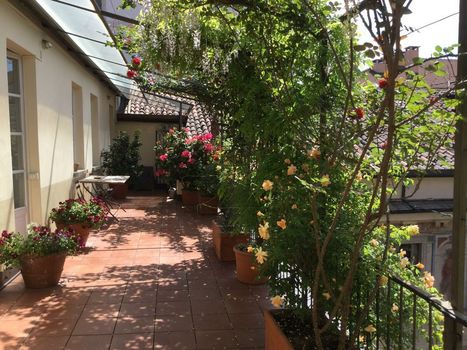 B&B Via Stampatori