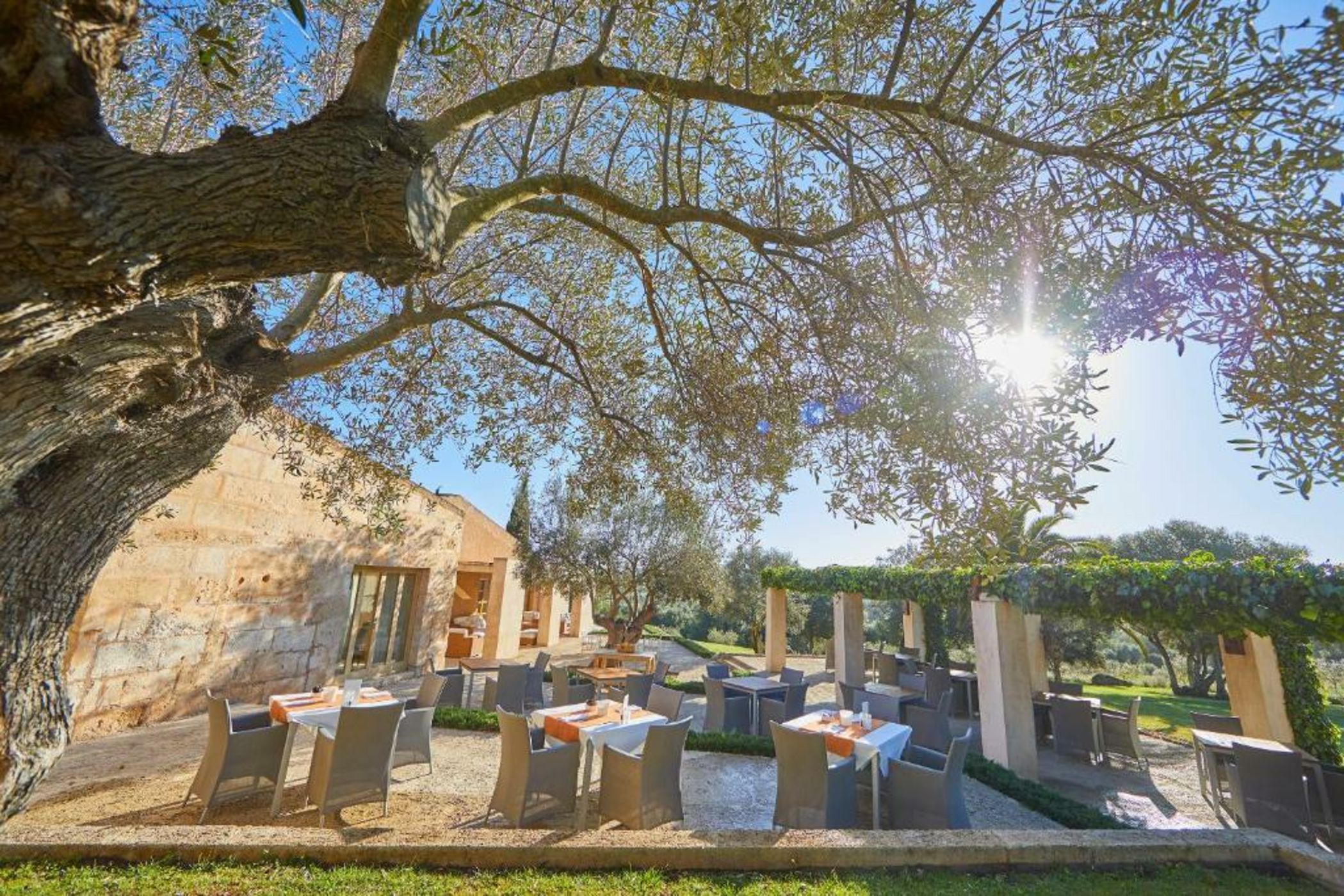 Son Penya Adults Only Petit Hotel & Spa